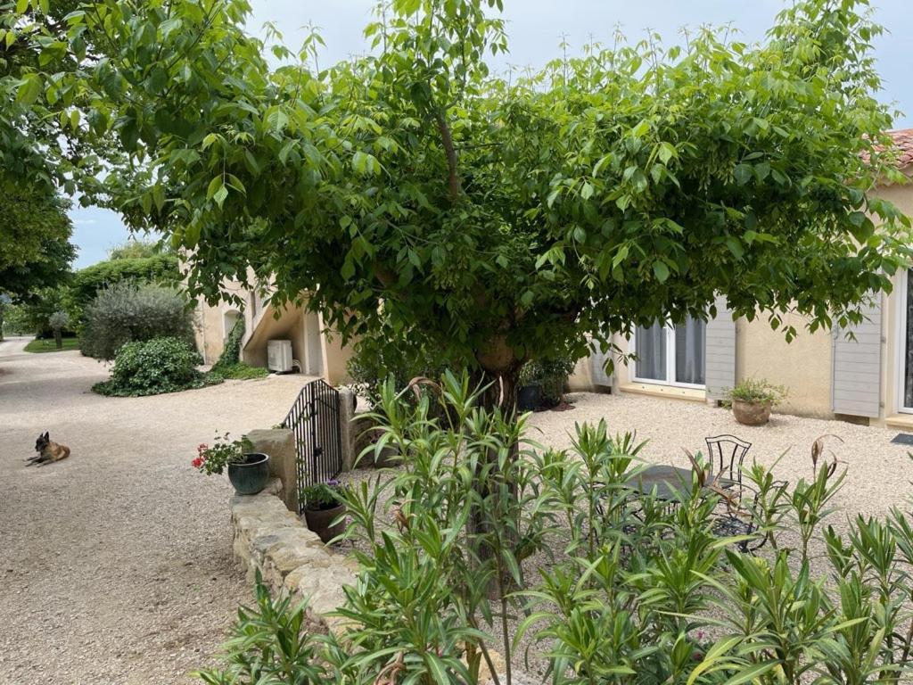 Bastide Provencale Βίλα Cadenet Εξωτερικό φωτογραφία